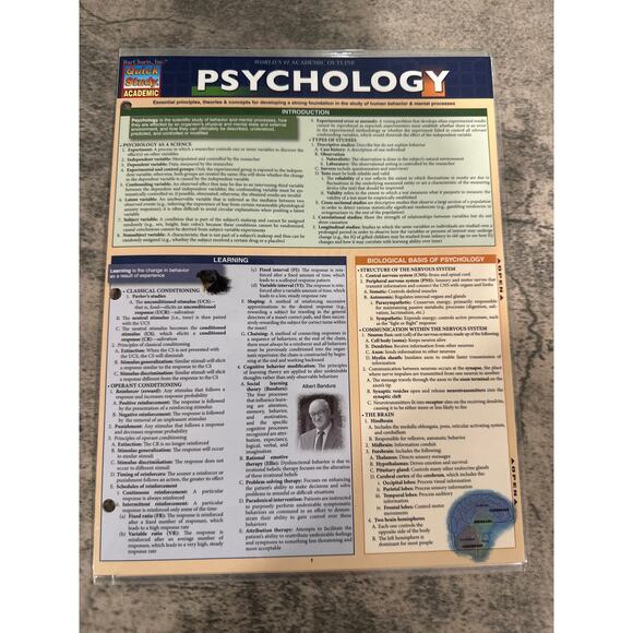 Quickstudy Reference Guide Psychology (219620) - Picture 3 of 3